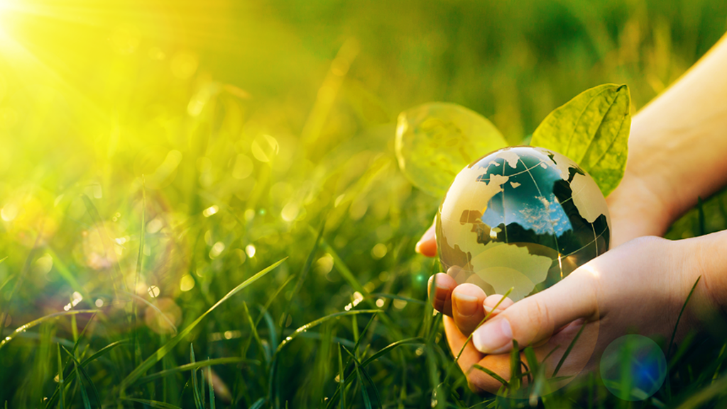 Saiba mais sobre a responsabilidade ambiental da Biochemical